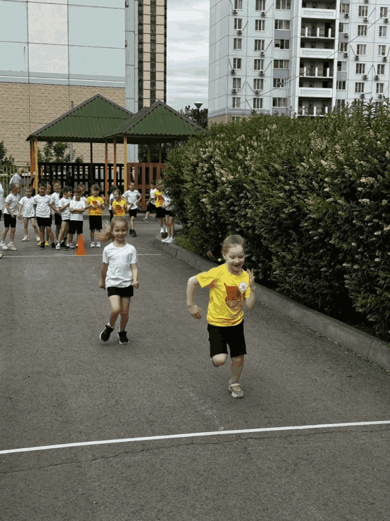 img (2)